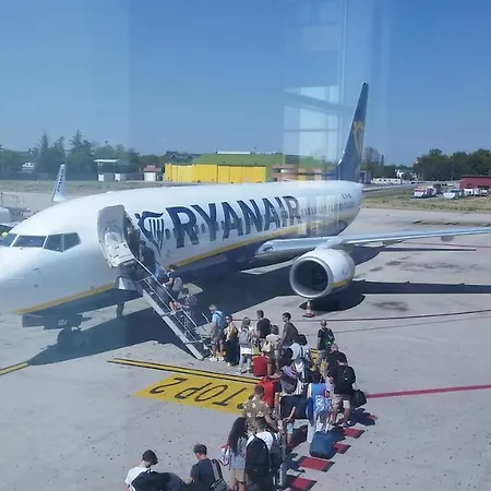 Petit Jolly' *